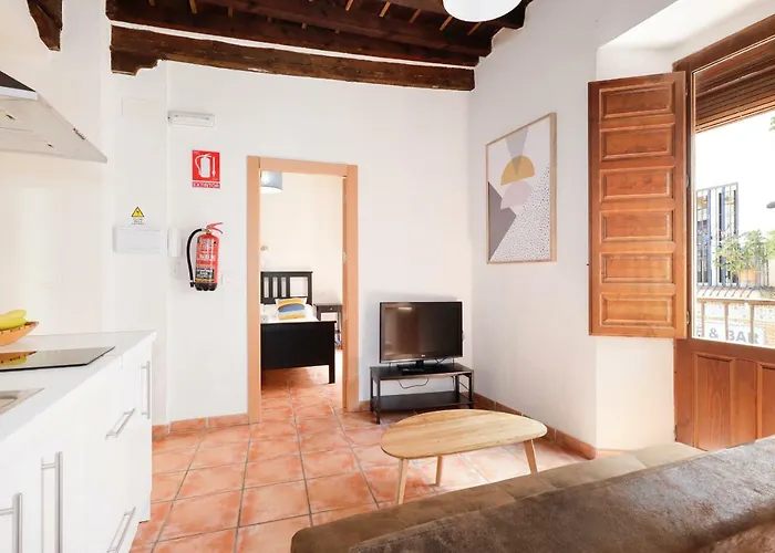 Appartement Urban Grenade